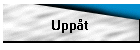 Uppt